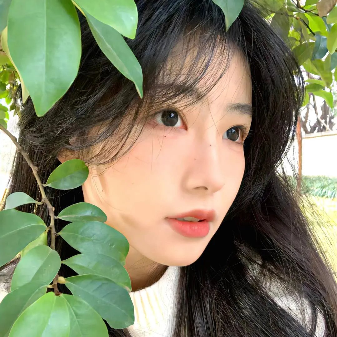 与君相恋100次