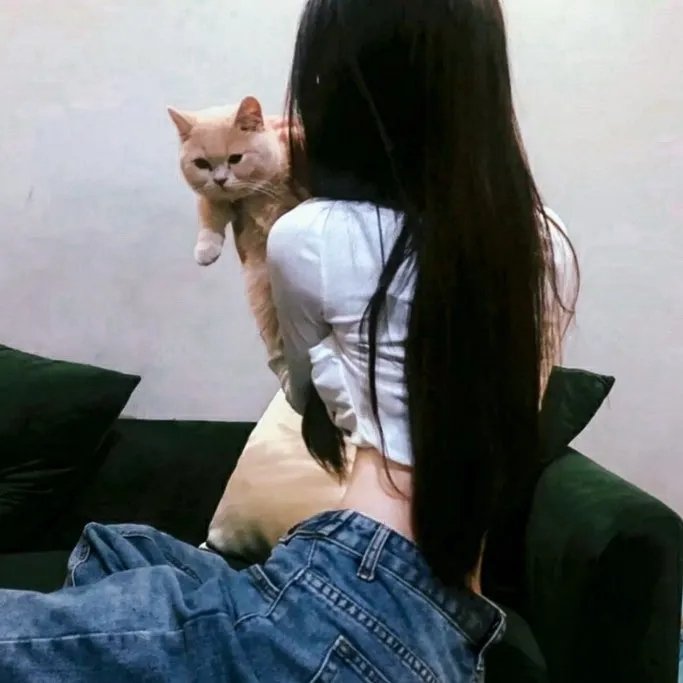 宝贝的新朋友